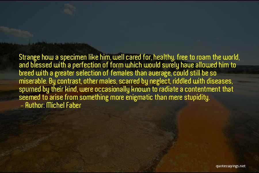 Specimen Quotes By Michel Faber