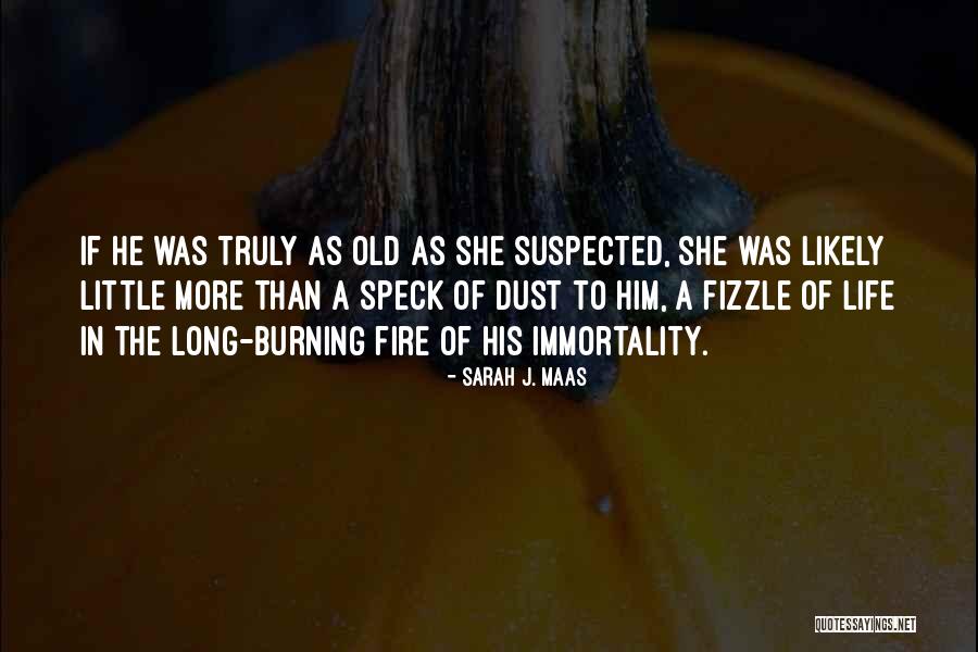 Speck Quotes By Sarah J. Maas Speck Quotes By Sarah J. Maas