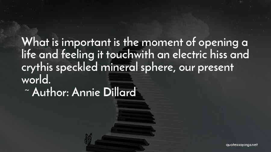 Speckled Quotes By Annie Dillard