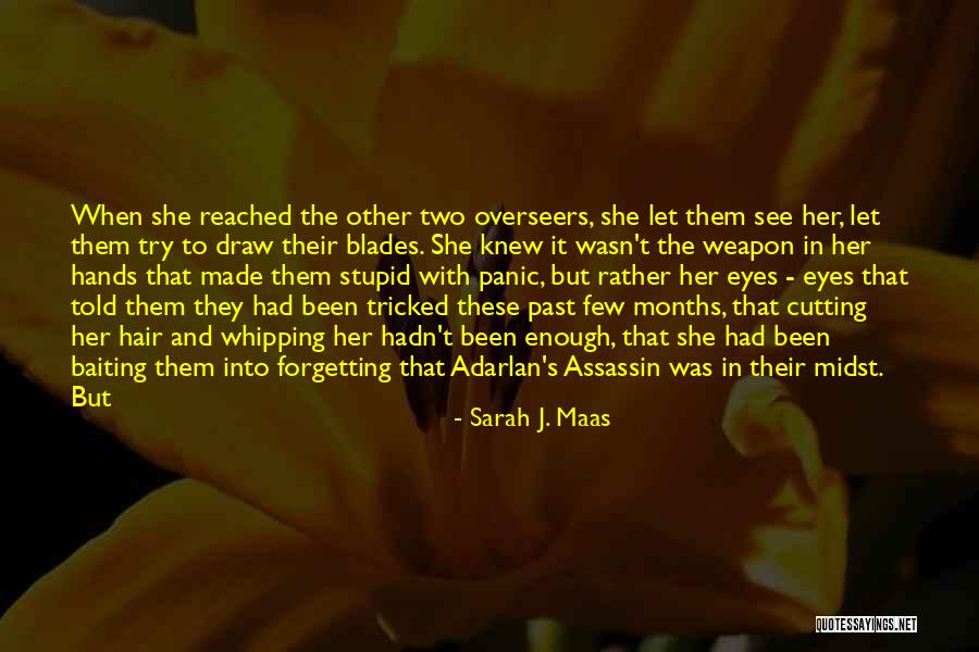 Speckles In Vision Quotes By Sarah J. Maas Speckles In Vision Quotes By Sarah J. Maas