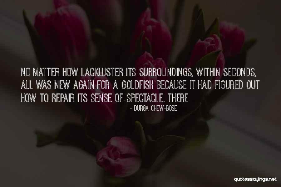 Spectacle Quotes By Durga Chew-Bose Spectacle Quotes By Durga Chew-Bose