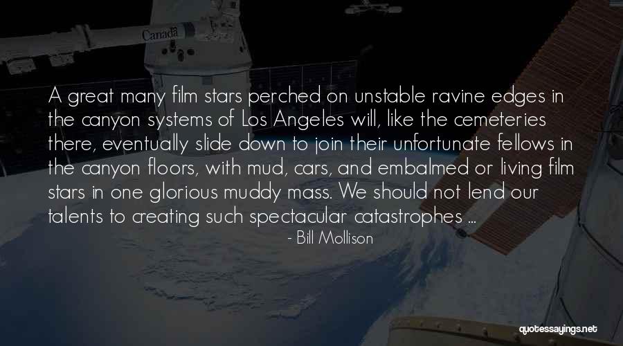 Spectacular Now Film Quotes By Bill Mollison Spectacular Now Film Quotes By Bill Mollison