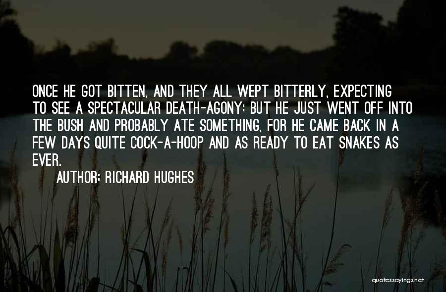 Spectacular Quotes By Richard Hughes