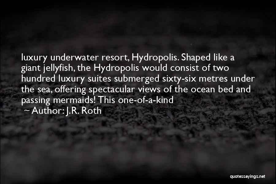 Spectacular Views Quotes By J.R. Roth