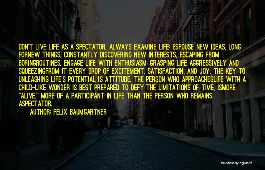 Spectator Of Life Quotes By Felix Baumgartner