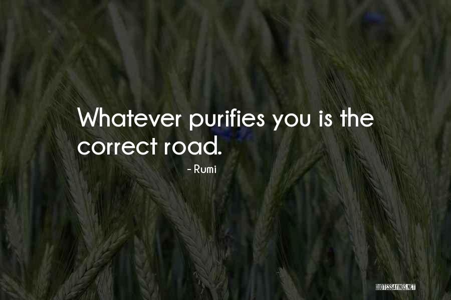 Spectrally Selective Glass Quotes By Rumi Spectrally Selective Glass Quotes By Rumi
