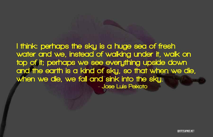 Spectroscopic Binary Quotes By Jose Luis Peixoto