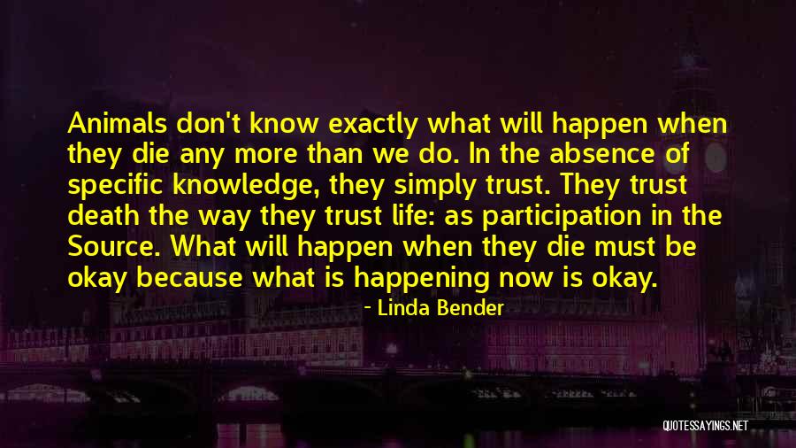 Speculaaskruiden Quotes By Linda Bender Speculaaskruiden Quotes By Linda Bender