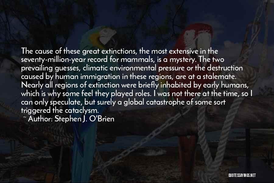 Speculate Quotes By Stephen J. O'Brien