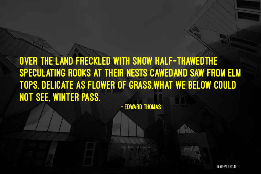 Speculating Quotes By Edward Thomas Speculating Quotes By Edward Thomas