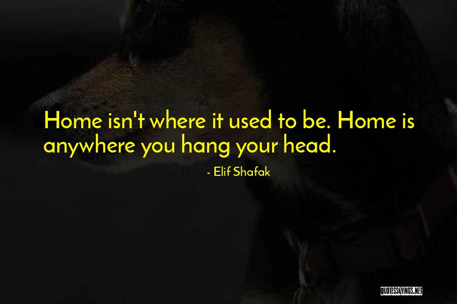 Speculums And Stirrups Quotes By Elif Shafak Speculums And Stirrups Quotes By Elif Shafak