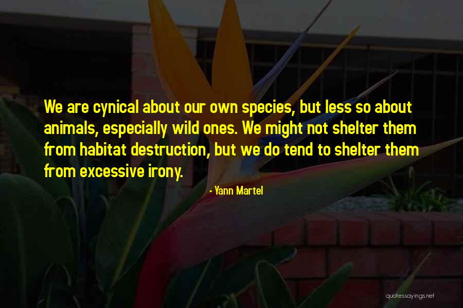 Spedden Quotes By Yann Martel Spedden Quotes By Yann Martel