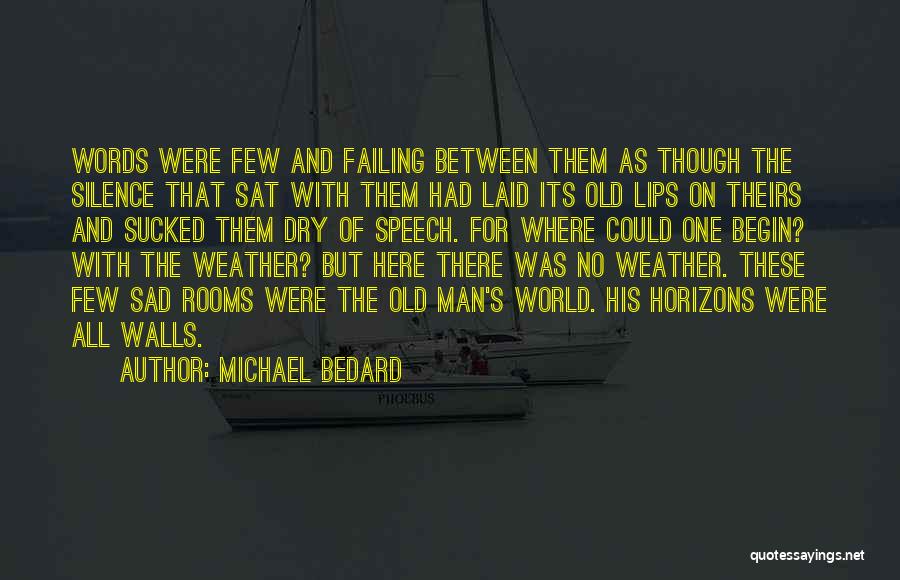 Speech And Silence Quotes By Michael Bedard