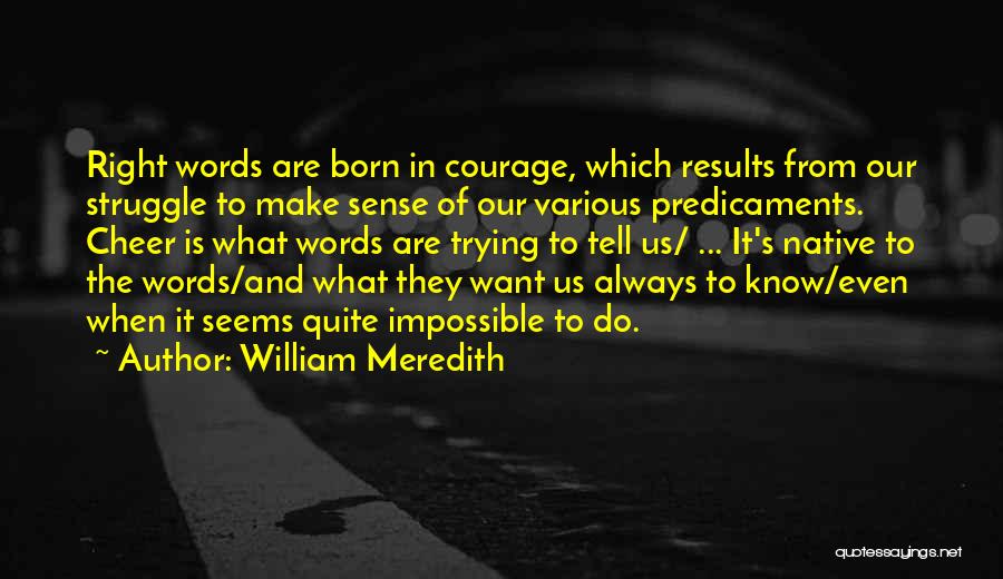 Speech Communication Quotes By William Meredith