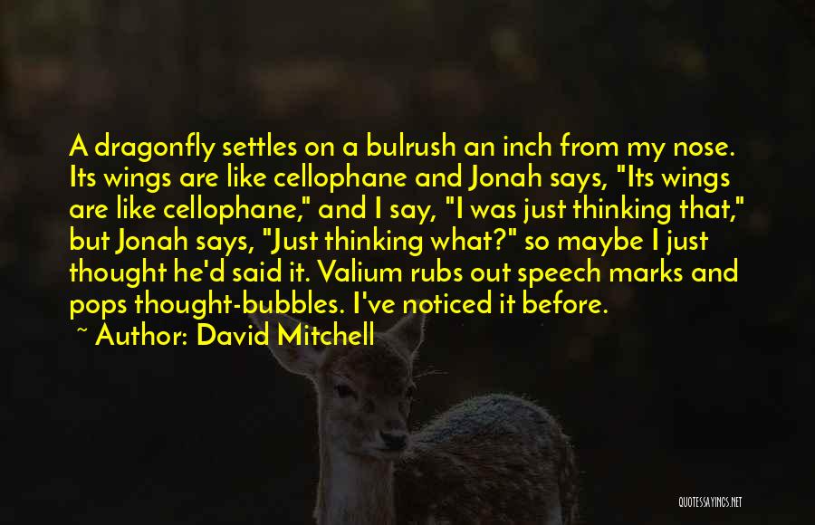 Speech Marks Or Quotes By David Mitchell