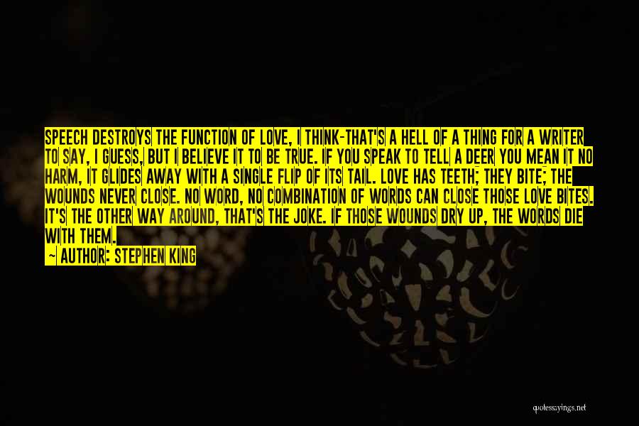Speech Writer Quotes By Stephen King