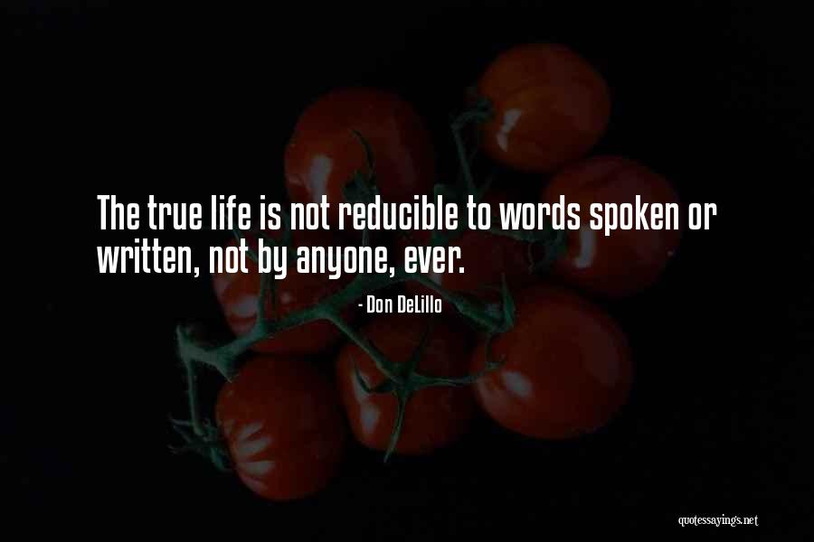 Speech Writing Quotes By Don DeLillo Speech Writing Quotes By Don DeLillo