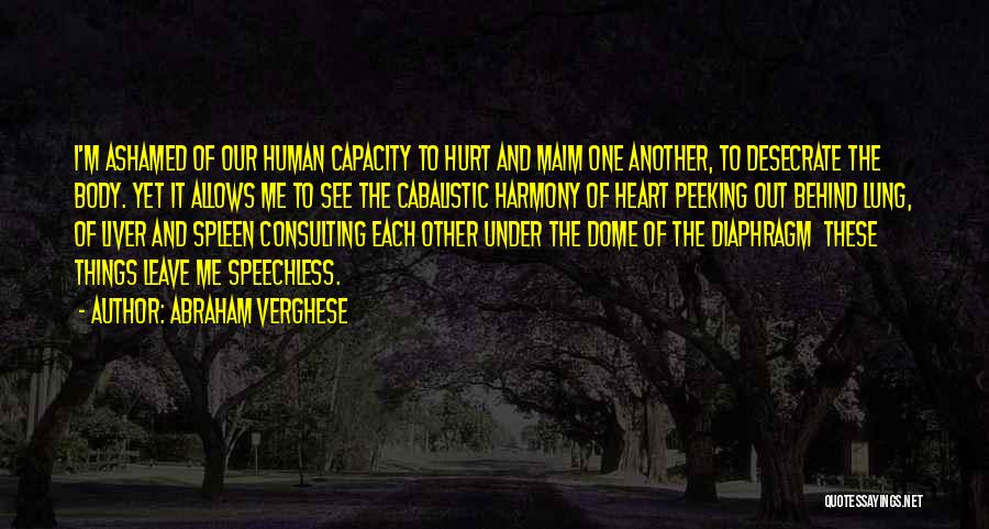 Speechless When I See You Quotes By Abraham Verghese