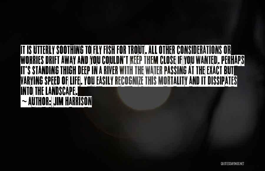 Speed And Life Quotes By Jim Harrison