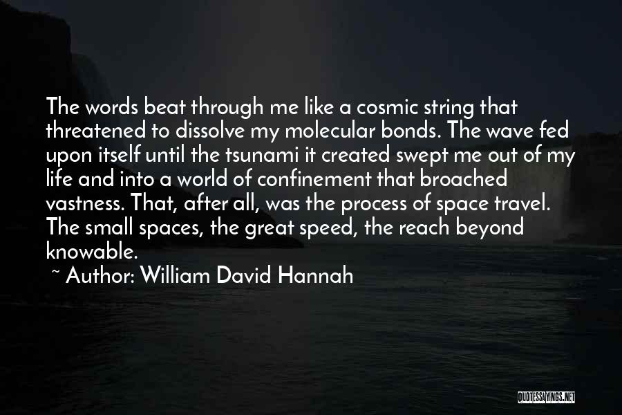 Speed And Life Quotes By William David Hannah