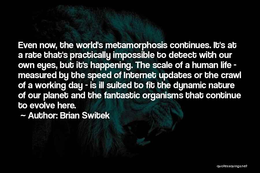 Speed Of Life Quotes By Brian Switek