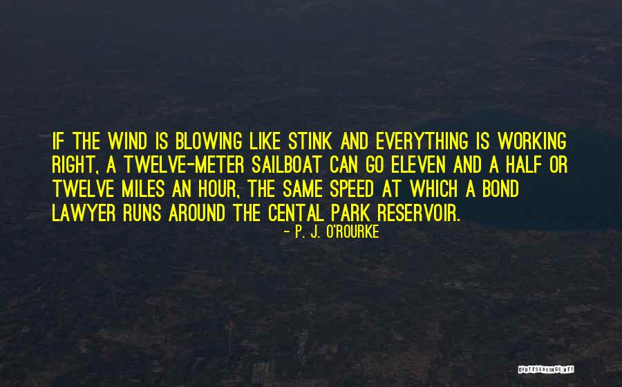 Speed Running Quotes By P. J. O'Rourke