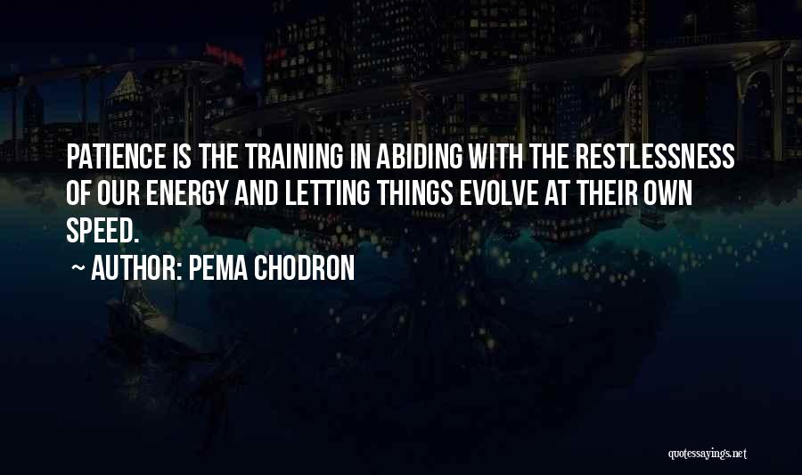 Speed Training Quotes By Pema Chodron