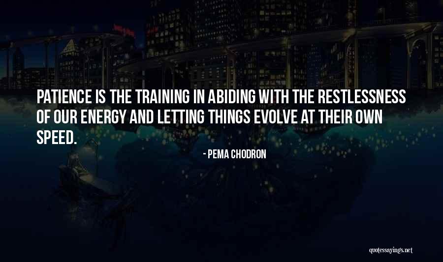 Speed Training Quotes By Pema Chodron