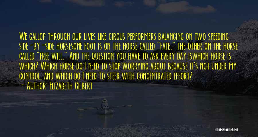 Speeding Quotes By Elizabeth Gilbert