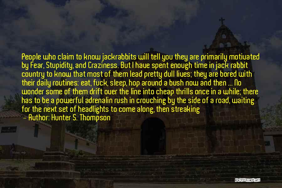 Speeding Quotes By Hunter S. Thompson