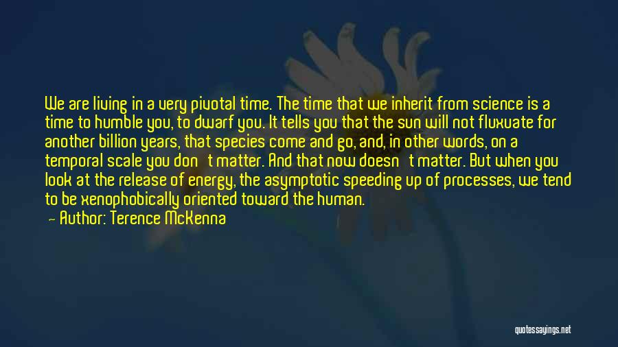Speeding Time Quotes By Terence McKenna
