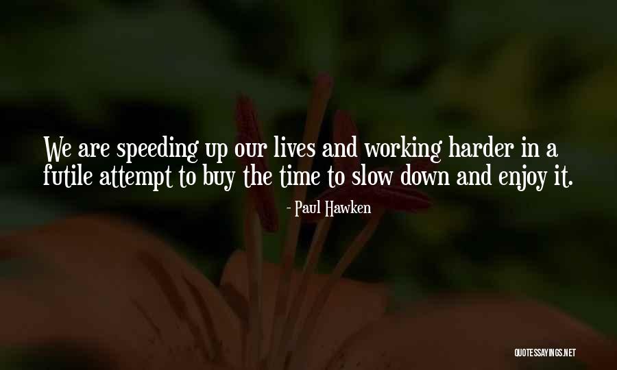 Speeding Up Quotes By Paul Hawken