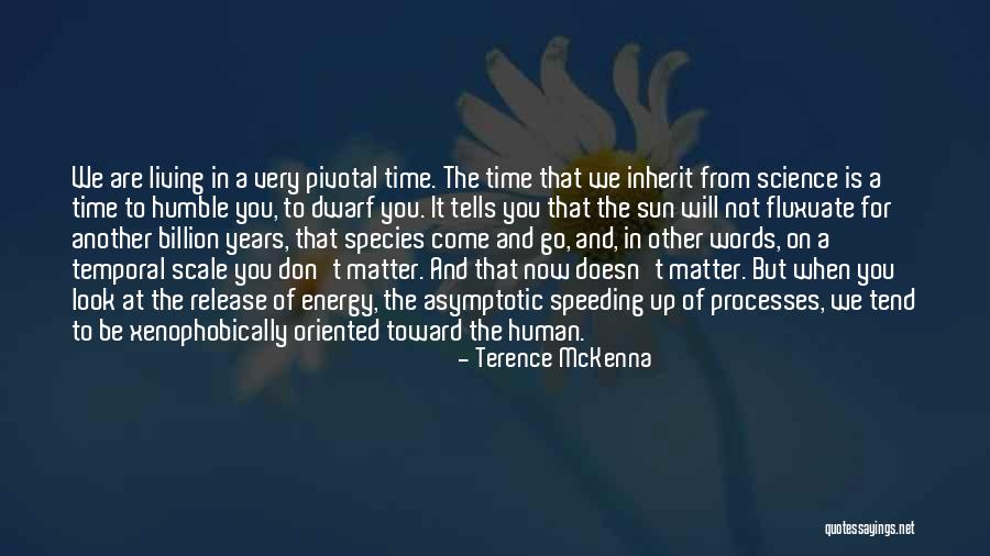 Speeding Up Quotes By Terence McKenna