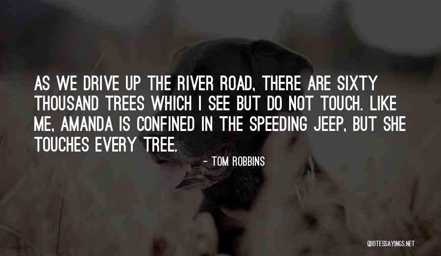 Speeding Up Quotes By Tom Robbins