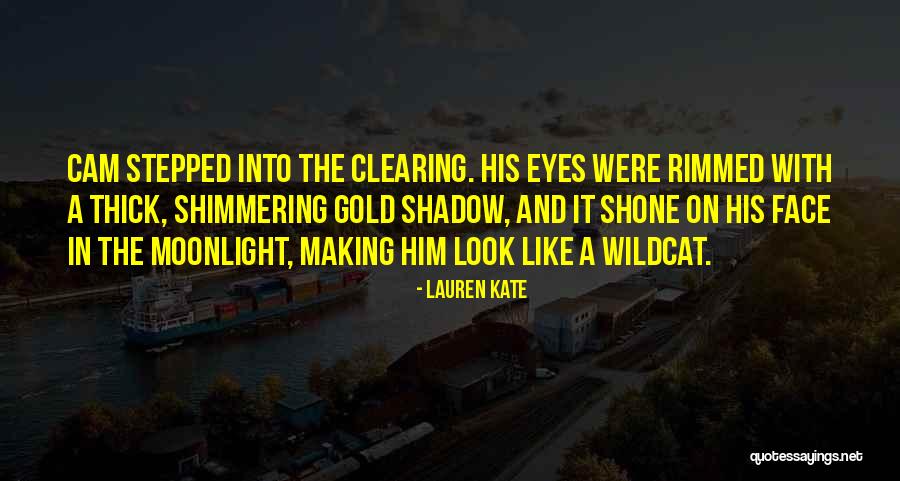 Speier Law Quotes By Lauren Kate Speier Law Quotes By Lauren Kate