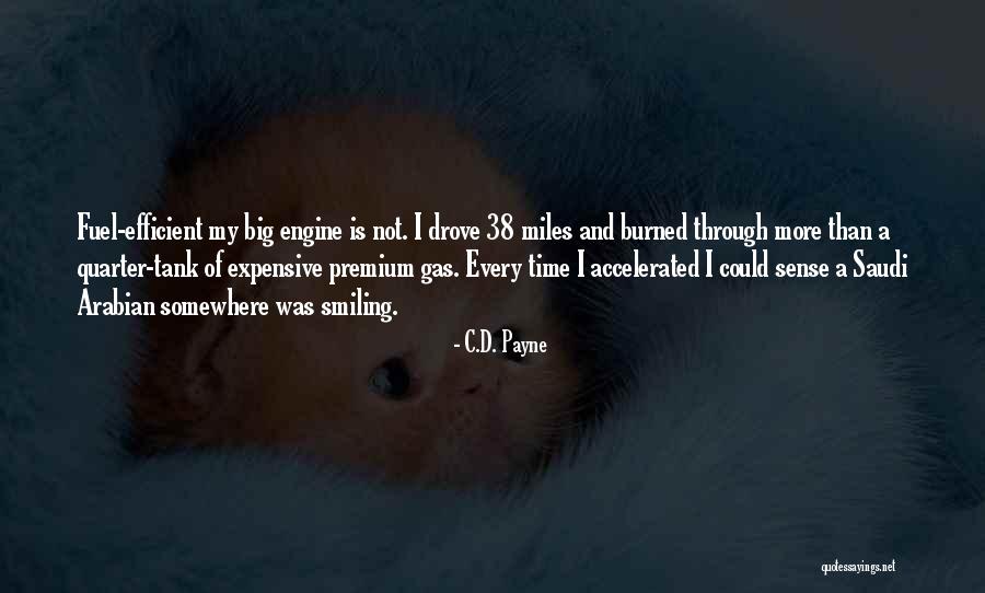 Spelendatabank Quotes By C.D. Payne Spelendatabank Quotes By C.D. Payne