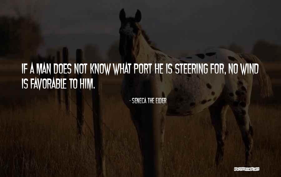 Speliotis Travel Quotes By Seneca The Elder Speliotis Travel Quotes By Seneca The Elder