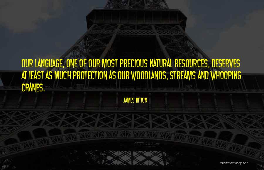 Spelke And Core Quotes By James Lipton Spelke And Core Quotes By James Lipton