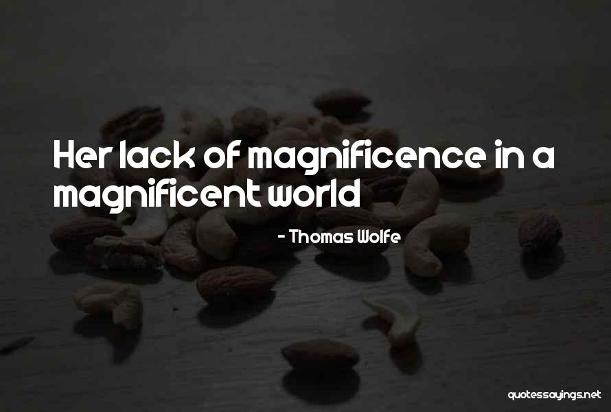 Spellbinders Platinum Quotes By Thomas Wolfe Spellbinders Platinum Quotes By Thomas Wolfe