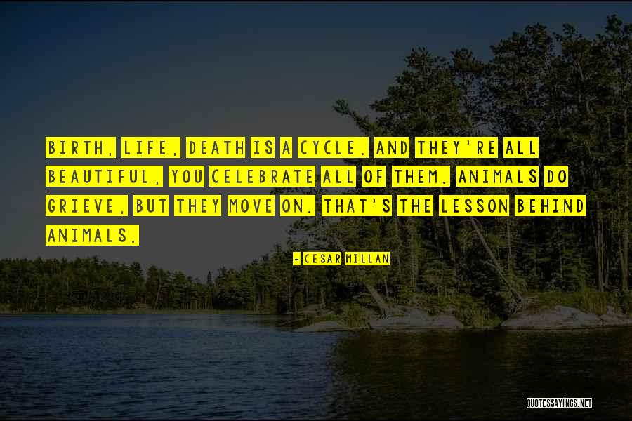 Spellfire Belt Quotes By Cesar Millan Spellfire Belt Quotes By Cesar Millan