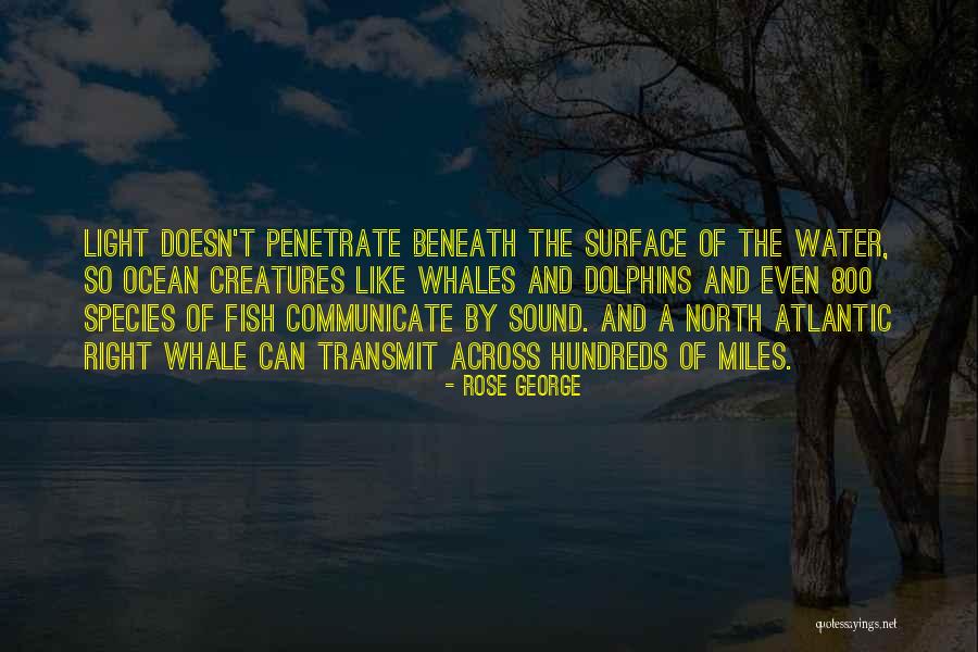 Spencers Store Quotes By Rose George Spencers Store Quotes By Rose George