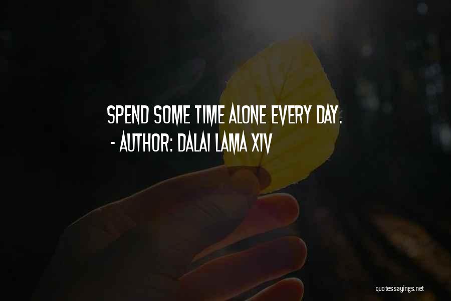 Spend Some Time Alone Quotes By Dalai Lama XIV