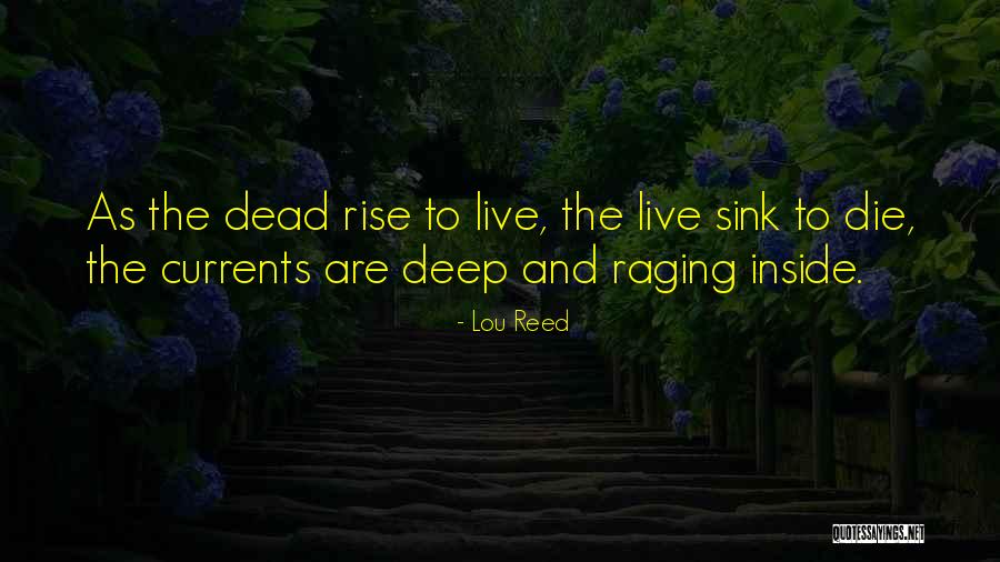 Sperare Quotes By Lou Reed Sperare Quotes By Lou Reed