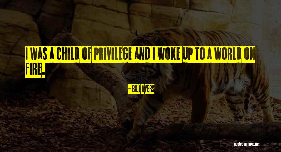 Sperberg Construction Quotes By Bill Ayers Sperberg Construction Quotes By Bill Ayers