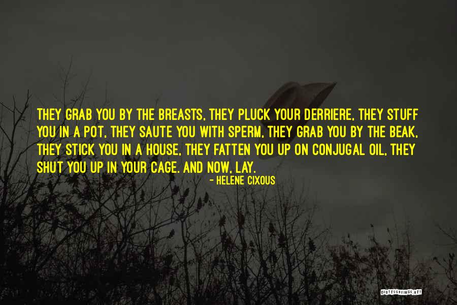 Sperm Quotes By Helene Cixous Sperm Quotes By Helene Cixous