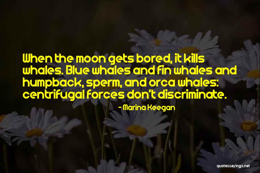 Sperm Quotes By Marina Keegan Sperm Quotes By Marina Keegan