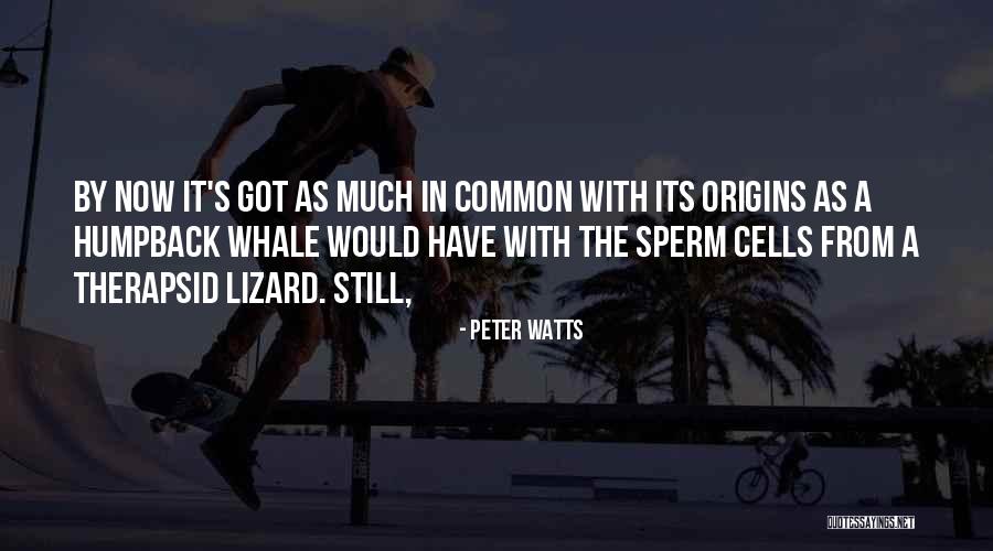 Sperm Quotes By Peter Watts Sperm Quotes By Peter Watts