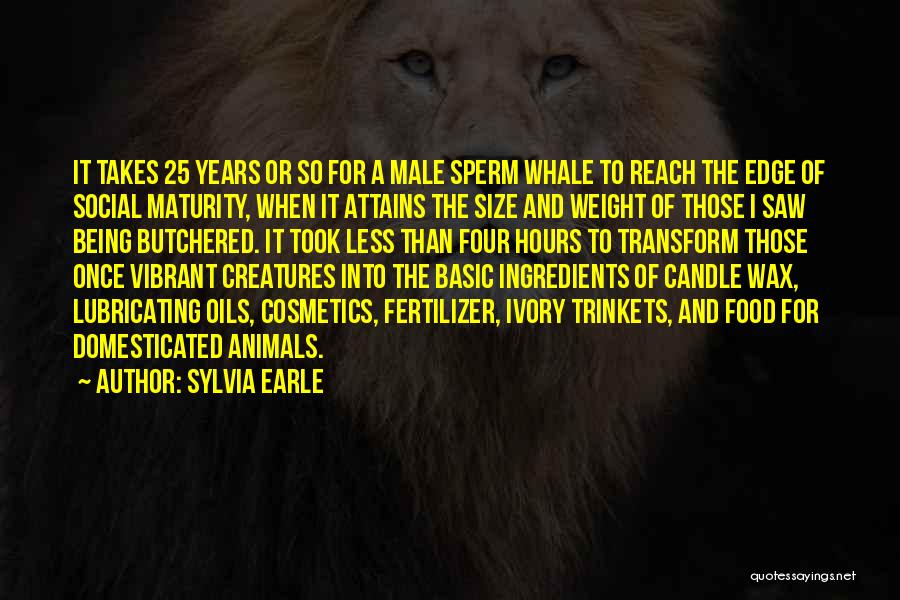 Sperm Whale Quotes By Sylvia Earle