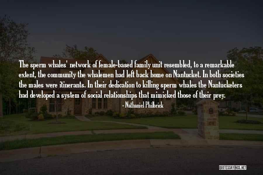 Sperm Whales Quotes By Nathaniel Philbrick Sperm Whales Quotes By Nathaniel Philbrick