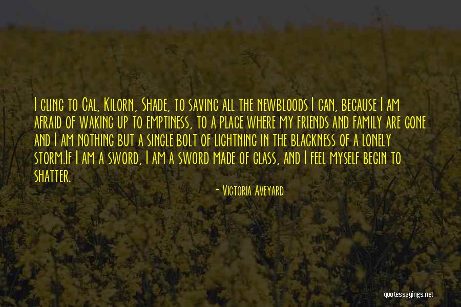 Spesa 24 Quotes By Victoria Aveyard Spesa 24 Quotes By Victoria Aveyard